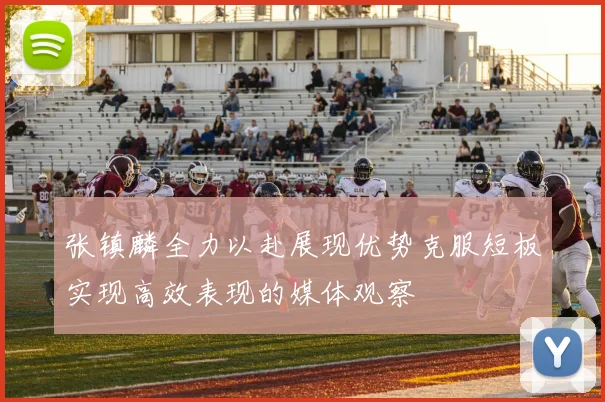 张镇麟全力以赴展现优势克服短板实现高效表现的媒体观察